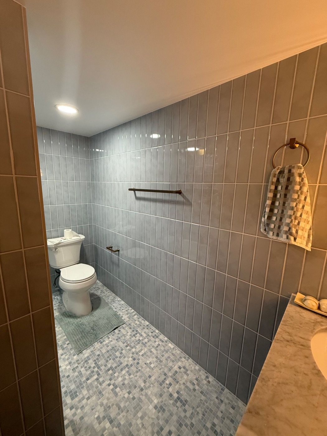 Blue tile wall and toilet side of the bathroom