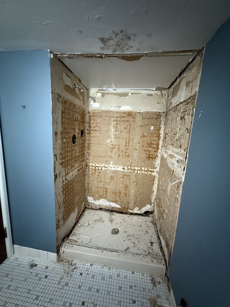 Shower demo down to studs and old backer board