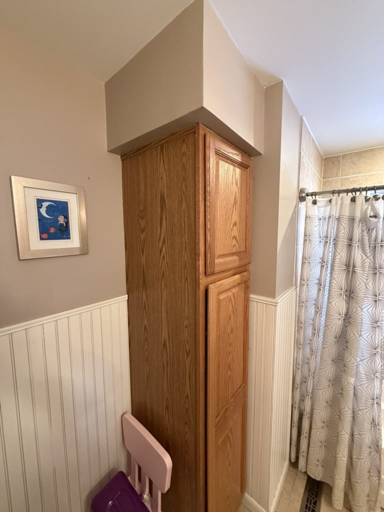 Before renovation: original linen cabinet and shower curtain